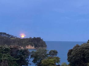 Funky Beach House with sea and country views Orewa